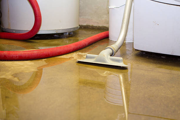 Best Carpet water damage restoration  in Martinsburg, WV