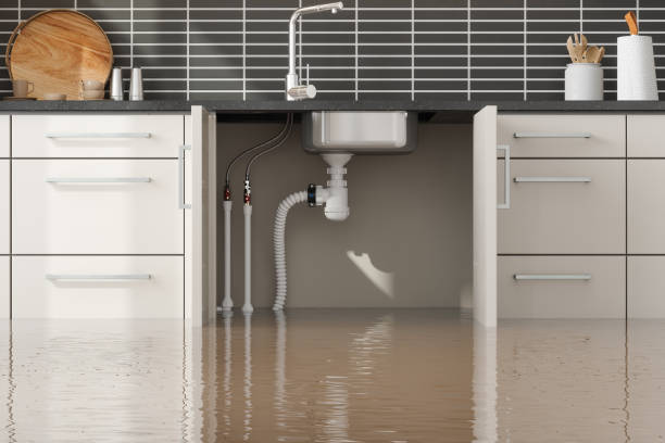 Best Water damage restoration experts  in Martinsburg, WV